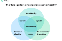 Responsabilidad empresarial impacto vitalis menos publicidad