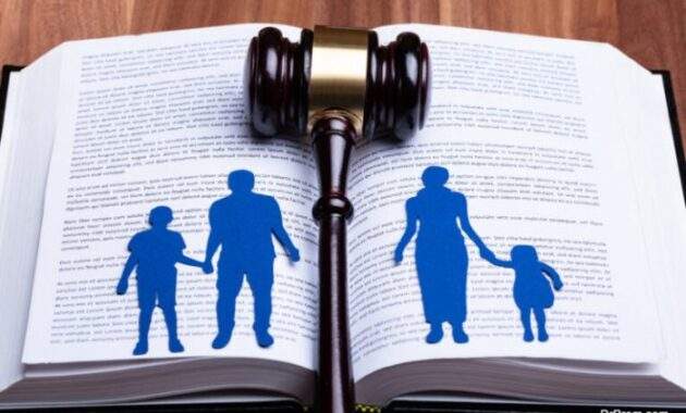 Custody rights unmarried father gavel separated cutout peters claim weighing maintenance contact attorney