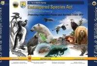 Endangered species act usa wildlife protected fish service 1973 protect esa protection animals operates ensure risk laws barb book reviews