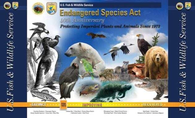 Endangered species act usa wildlife protected fish service 1973 protect esa protection animals operates ensure risk laws barb book reviews