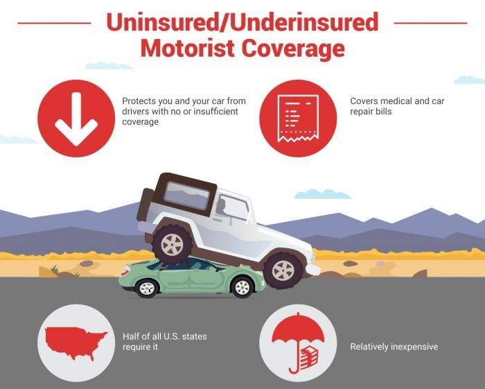 Motorist uninsured