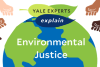 Environmental yale explain