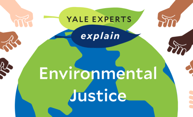 Environmental yale explain