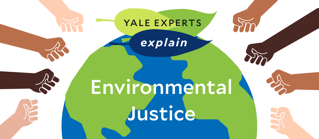 Environmental yale explain