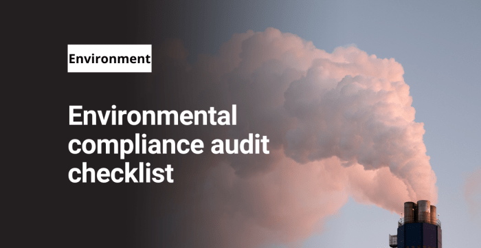 Compliance environmental audits steps approvals atmosphere emissions requires plant