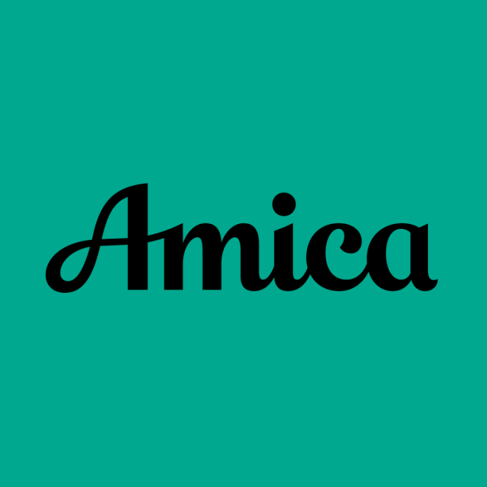 Amica mutual