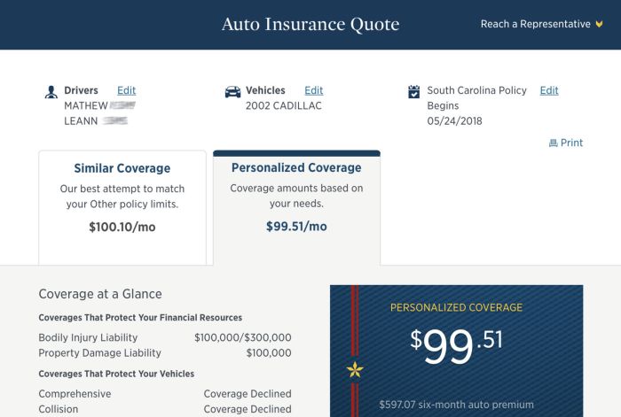 Usaa insurance depth review