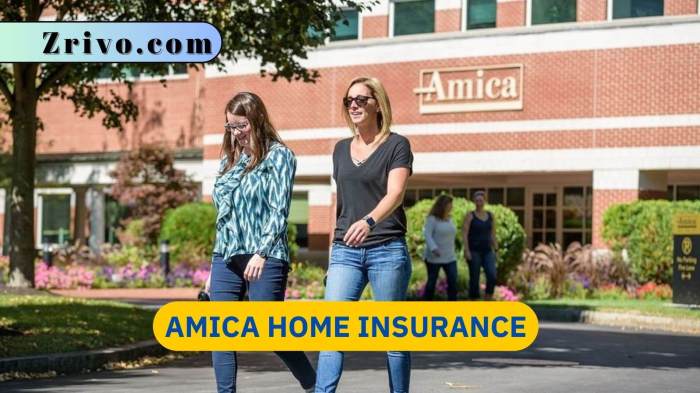 Amica insurance logo review