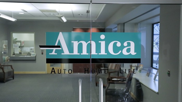 Amica insurance debt mutual loan employees student california club southern auto helps providence benefit offering pay courtesy monthly them down