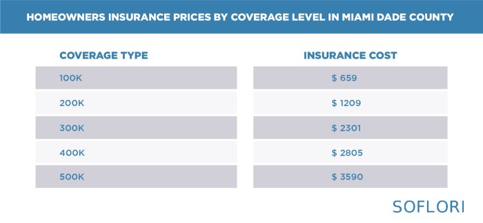 Florida insurance homeowners