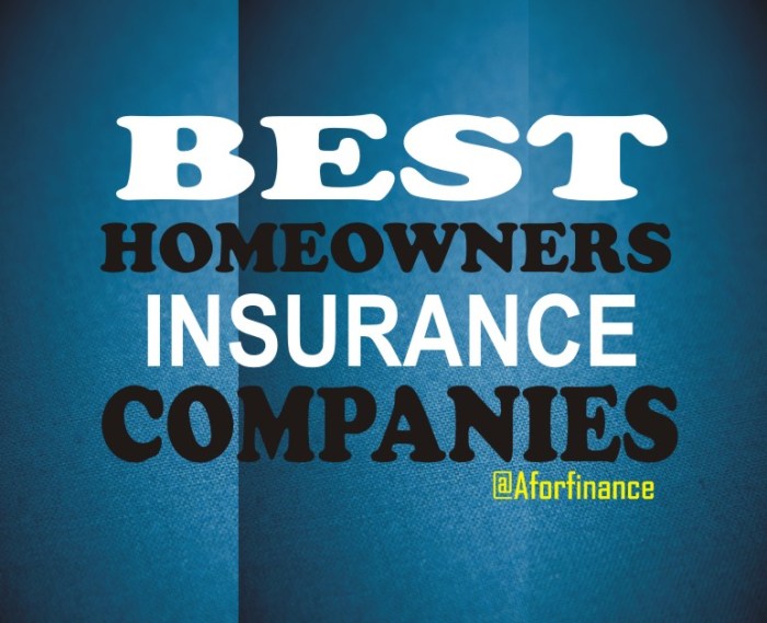 Insurance homeowners worst protecting damages