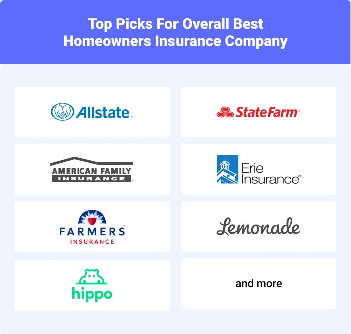 Insurance homeowners companies most