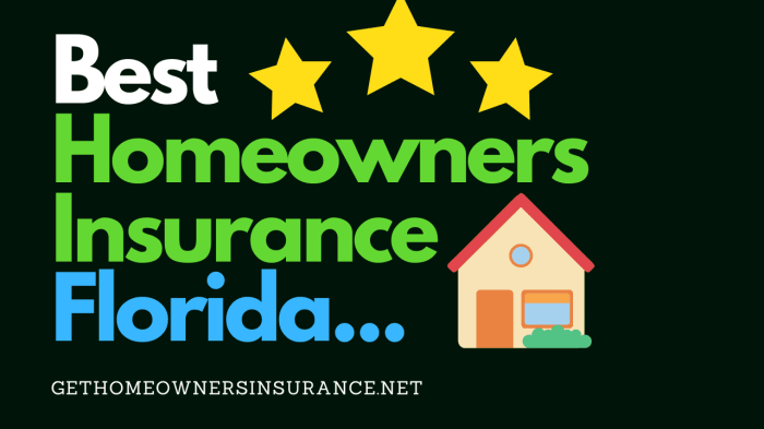 Florida family stock insurance homes single homeowners inspection delray beach community aerial drone usa benefits imaging services aob friendly pet