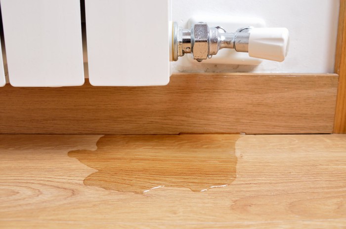 Water damage insurance homeowners does cover