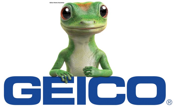 Geico