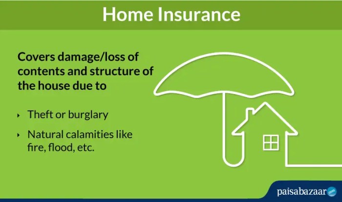 Insurance cost homeowner homeowners included buying much does should plan look like