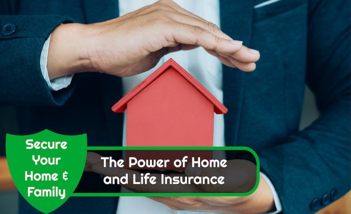 Insurance homeowners