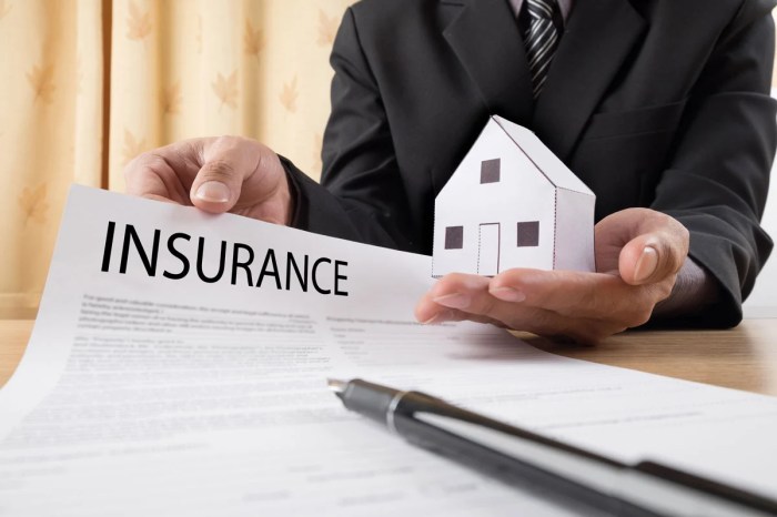 Insurance homeowners contents companies buy know guide small building before things top company deductibles complete major policies vacant cost homeowner