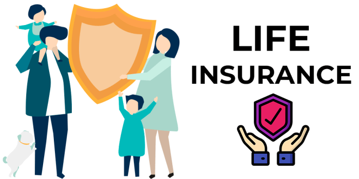 Insurance premium life table morbidity calculated age group probability shows female which basunivesh Insurance premium life table morbidity calculated age group probability shows female which basunivesh