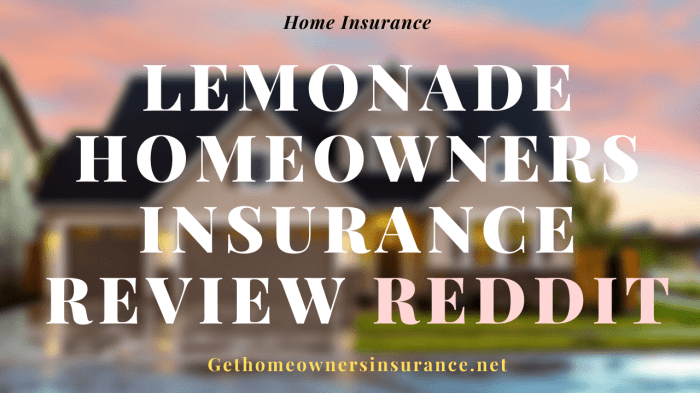 Lemonade insurance renters products