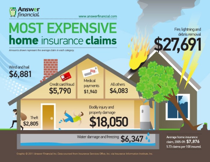 Insurance homeowners claims expensive most damage infographic water coverage hazard need claim do graphic policy why storm clean infographics covered