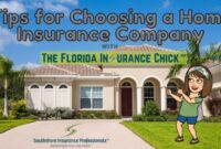 Insurance florida cost homeowners premium brooksville homeowner fl policy