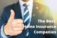 Insurance companies top world company