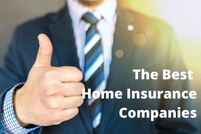 Insurance homeowners companies most