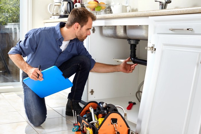 Insurance homeowners plumbing