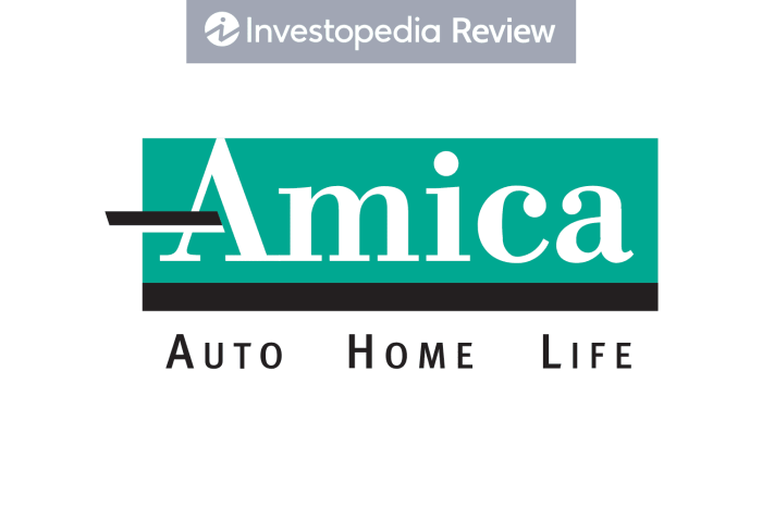 Insurance amica mutual company car policies seniors mighty but small may case