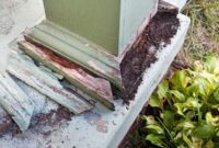 Damage insurance does cover termite