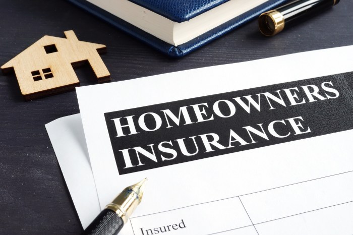 Insurance cost homeowner homeowners included buying much does should plan look like