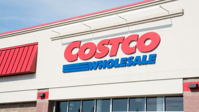 Costco insurance auto learn review can