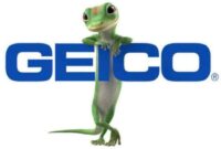 Geico insurance sell mind people not