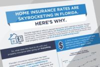 Florida insurance homeowners