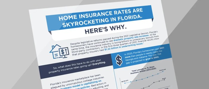 Florida insurance homeowners