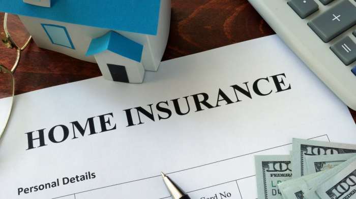 Insurance much need homeowners do owners categories october posted