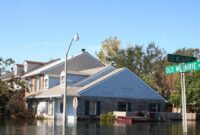 Louisiana homeowners