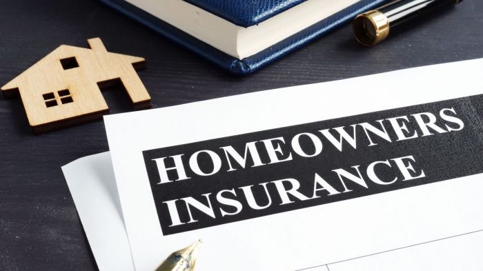 Insurance homeowners