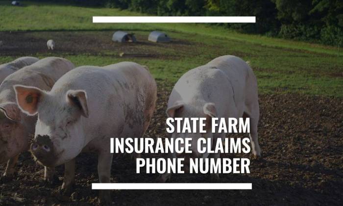 Homeowners insurance farm state reviews