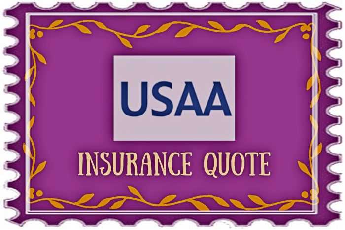 Insurance usaa shortquotes camperreport travelers