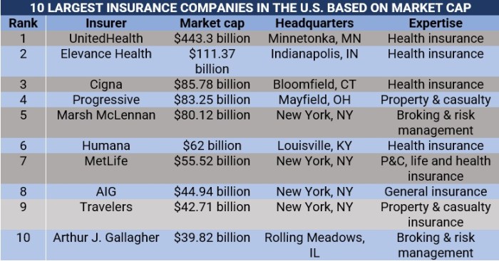 Biggest insurance companies in the us