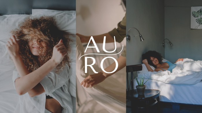 Auro insurance