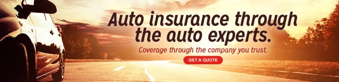 Quotesgram aaa insurance instant