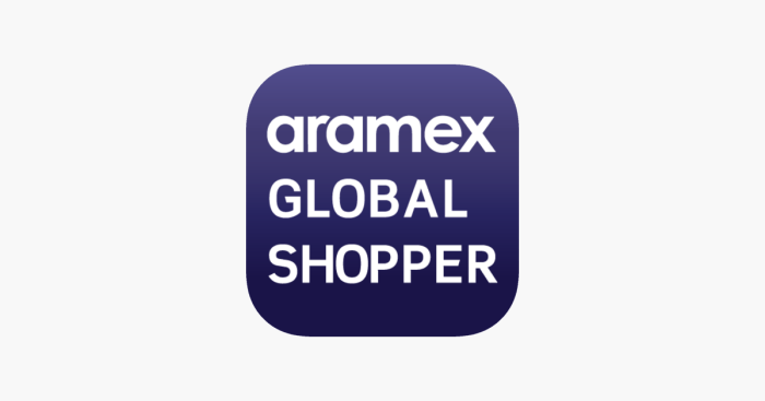 Aramex insurance