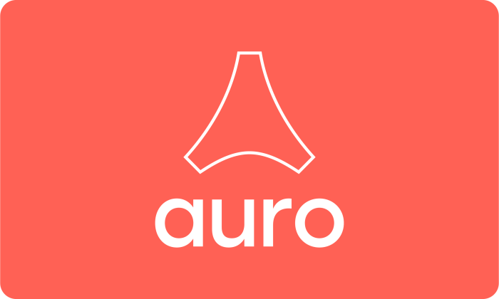 Auro insurance