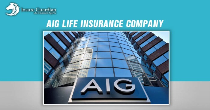 Aig whole life insurance