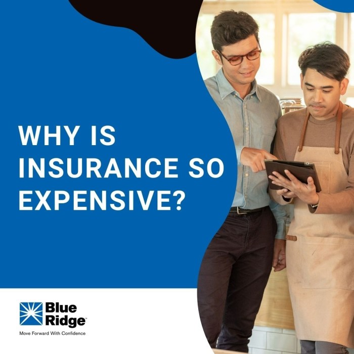 Blue ridge insurance