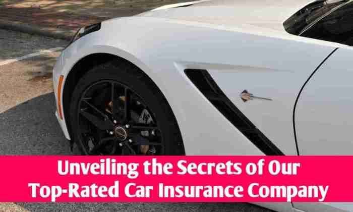 Insurance rated companies car top