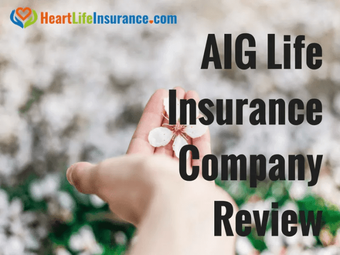 Life insurance types whole aig rates quickquote term affordable possible multiple needs making fit choose there dos